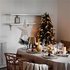 Solight LED vánoční hvězda stolní, 10x LED, 3x AA