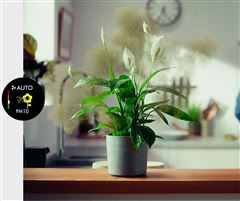 Dyson Purifier Cool PC2 De-NOx TP12