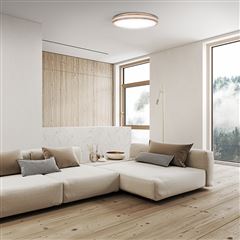 Solight LED osvětlení s dálkovým ovladačem Woody, 60W, 4200lm, 50cm, změna chromatičnosti, stmívatelné