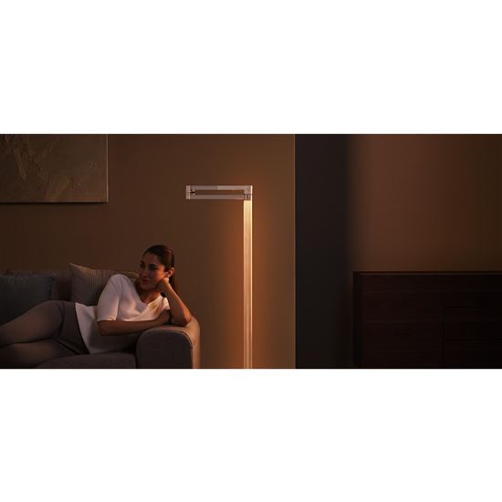 Dyson Solarcycle Morph™ CF06 podlahová lampa černá/mosaz